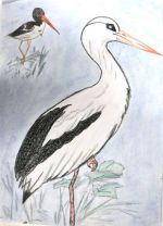 Magyarová Patrícia.jpg